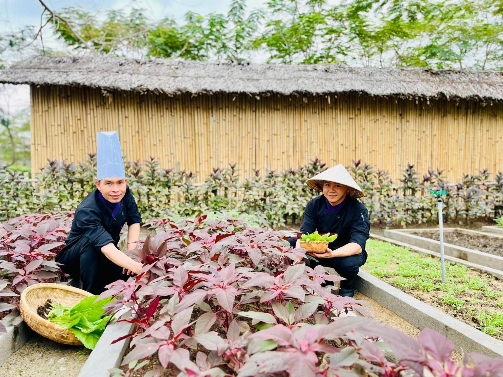 Ttc Van Phong Bay Resort - Himalaya Sauna & Steam Retreat Included Ấp Ninh Hòa  Dış mekan fotoğraf