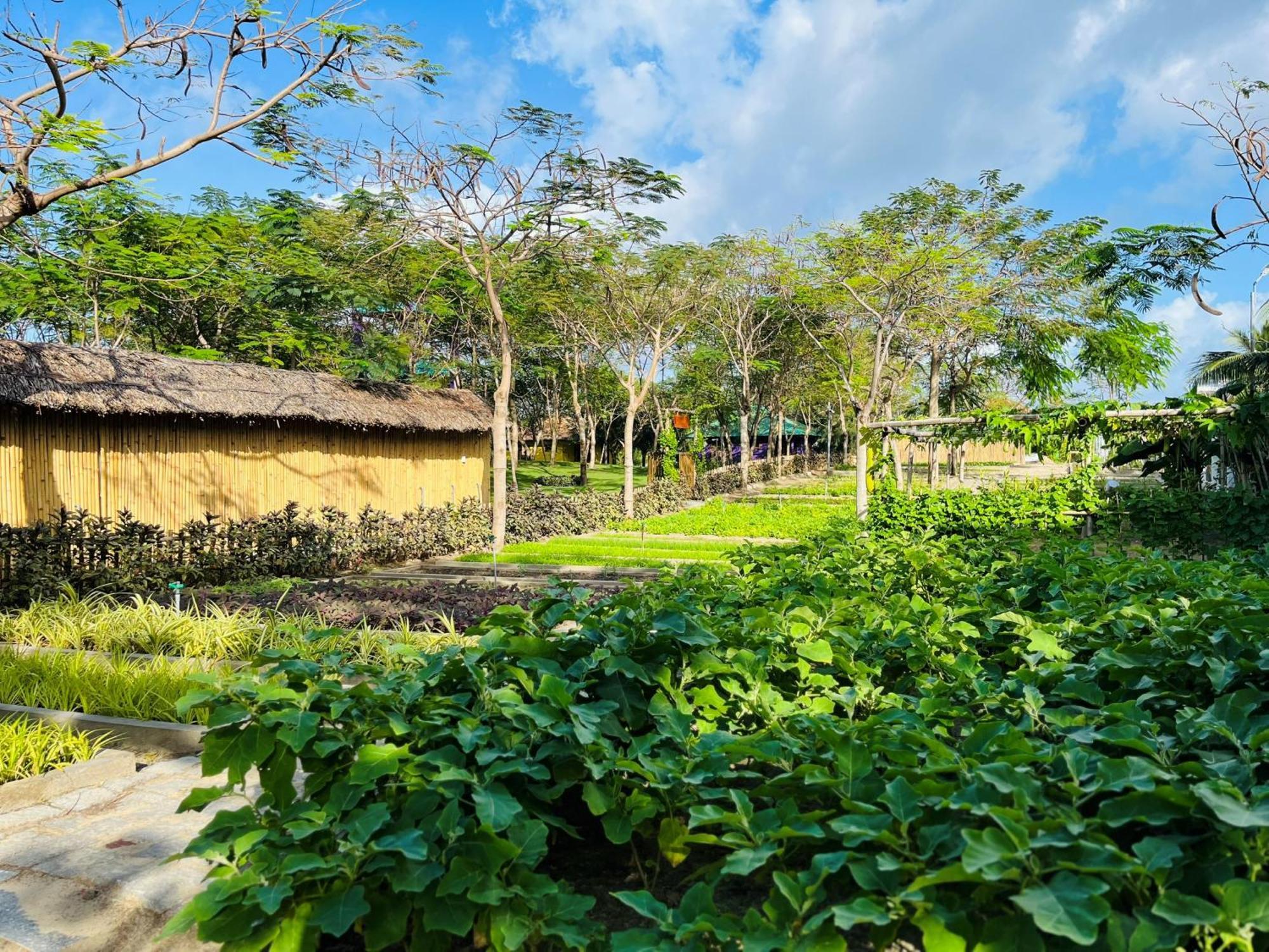 Ttc Van Phong Bay Resort - Himalaya Sauna & Steam Retreat Included Ấp Ninh Hòa  Dış mekan fotoğraf